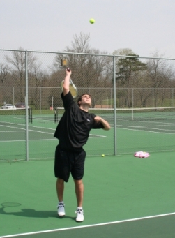 beartennis.jpg
