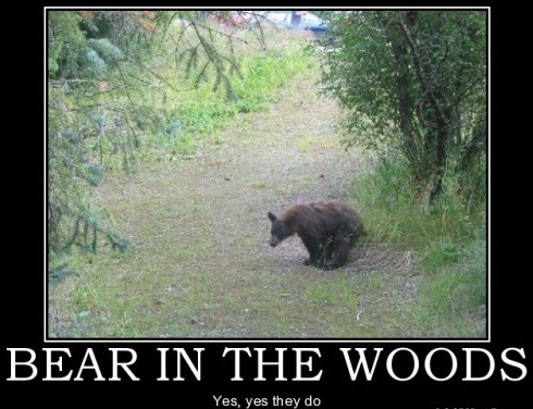 bear-in-woods.jpg